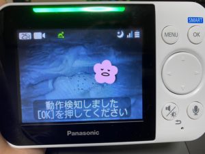 動作検知のお知らせ