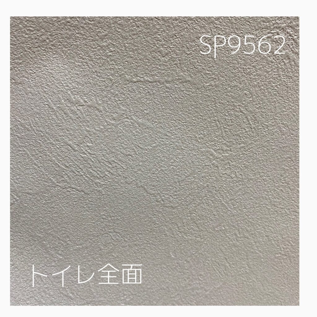 SP9562